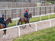 BP210325-9 - Squire Danagher